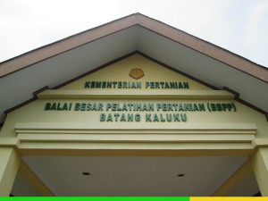 gowa-web