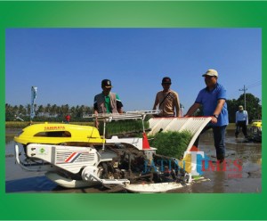 TANIKAYA-BUDIDAYA-PERTANIAN-ORGANIK-SITUBONDO